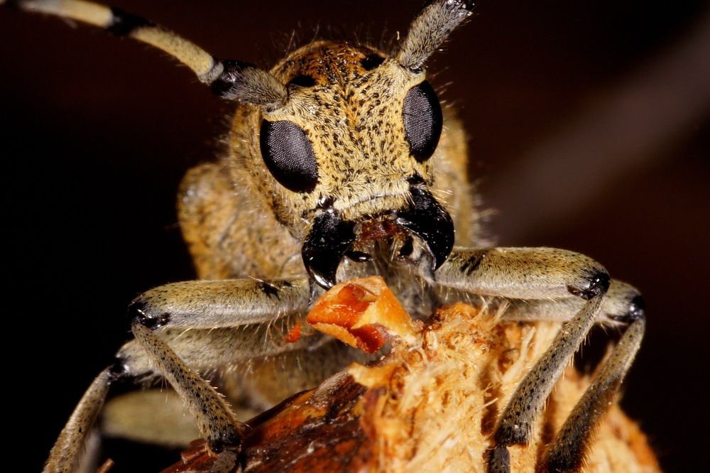 Photograph by Евгений Березин