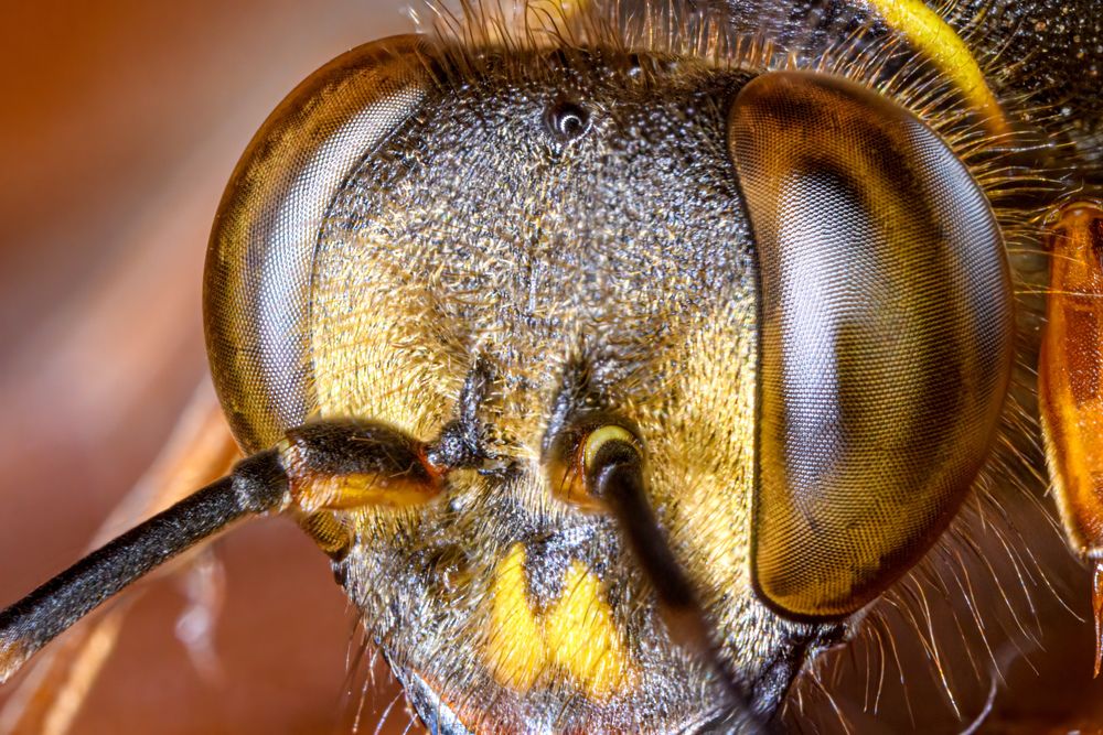 Photograph by  Mykhailo