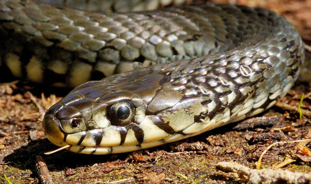 Photograph by Евгений Березин