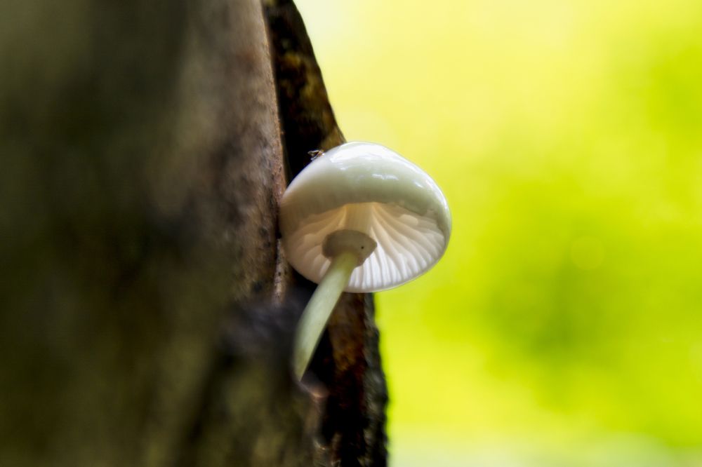 Photograph by Arif Unsal