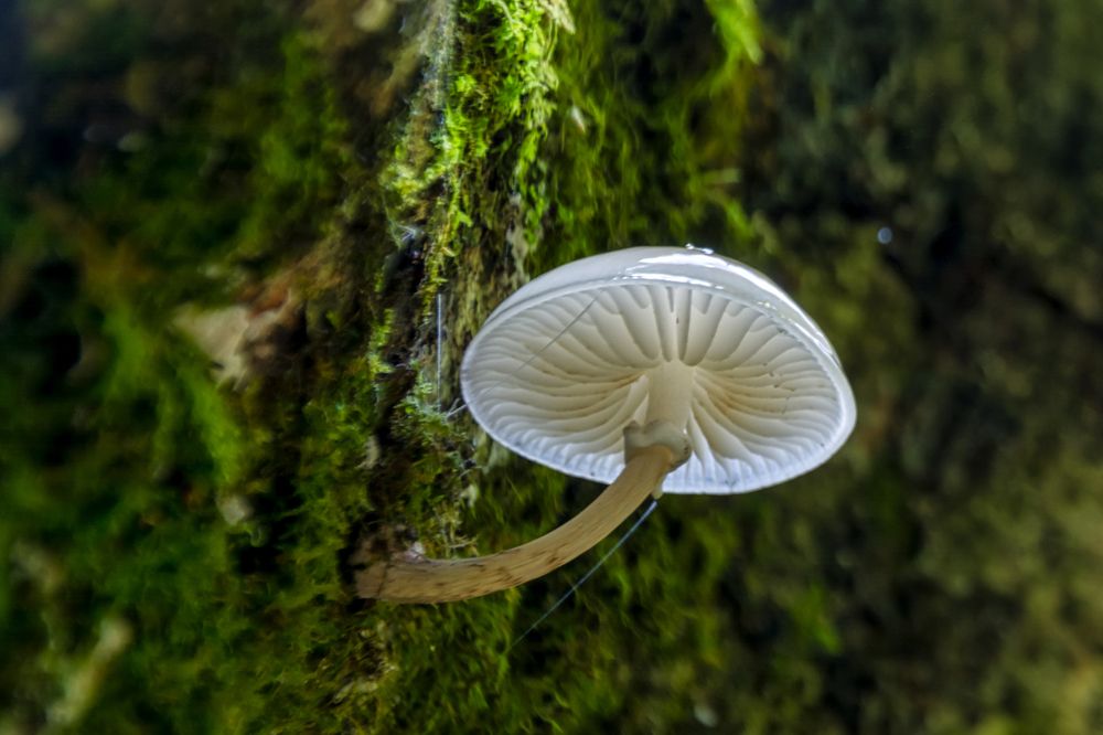 Photograph by Arif Unsal