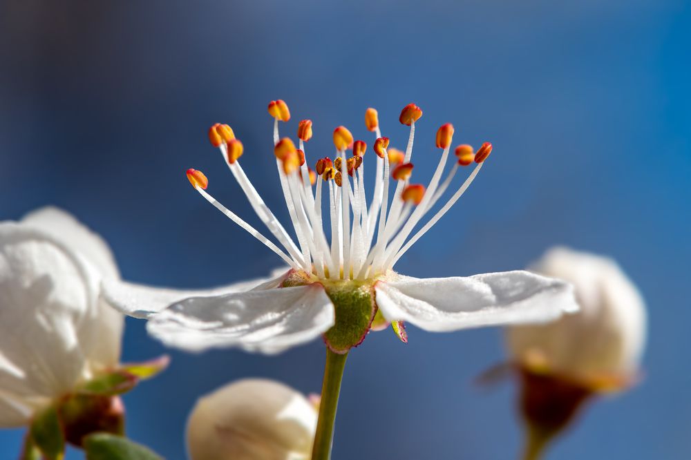 Photograph by  Mykhailo