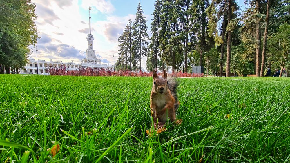 Photograph by Александр Салов