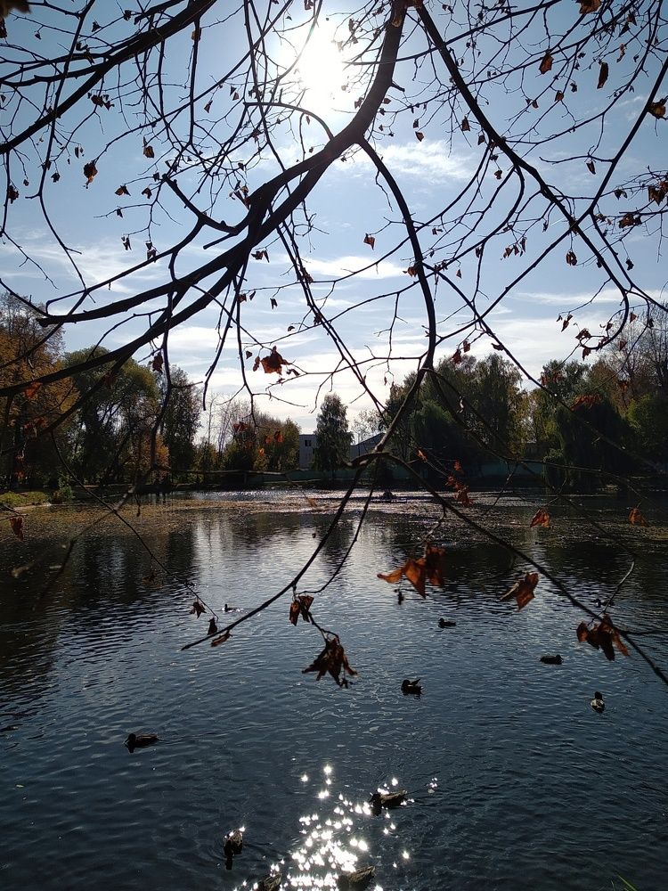 Photograph by Людмила М