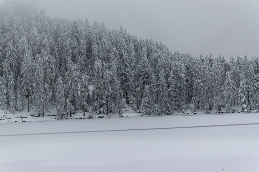 Photograph by Людмила Комарова