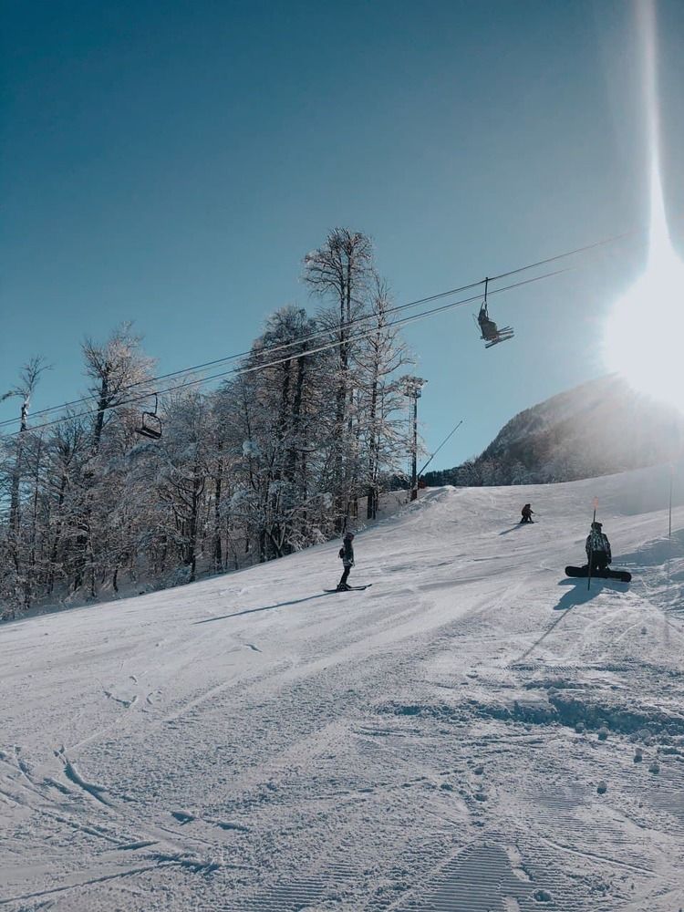 Photograph by Алина Коханова