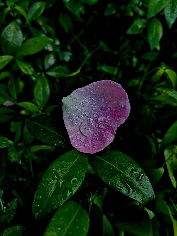 Photograph by Виталий Чичкань