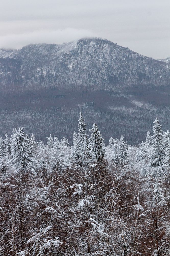 Photograph by Дмитрий Копылов