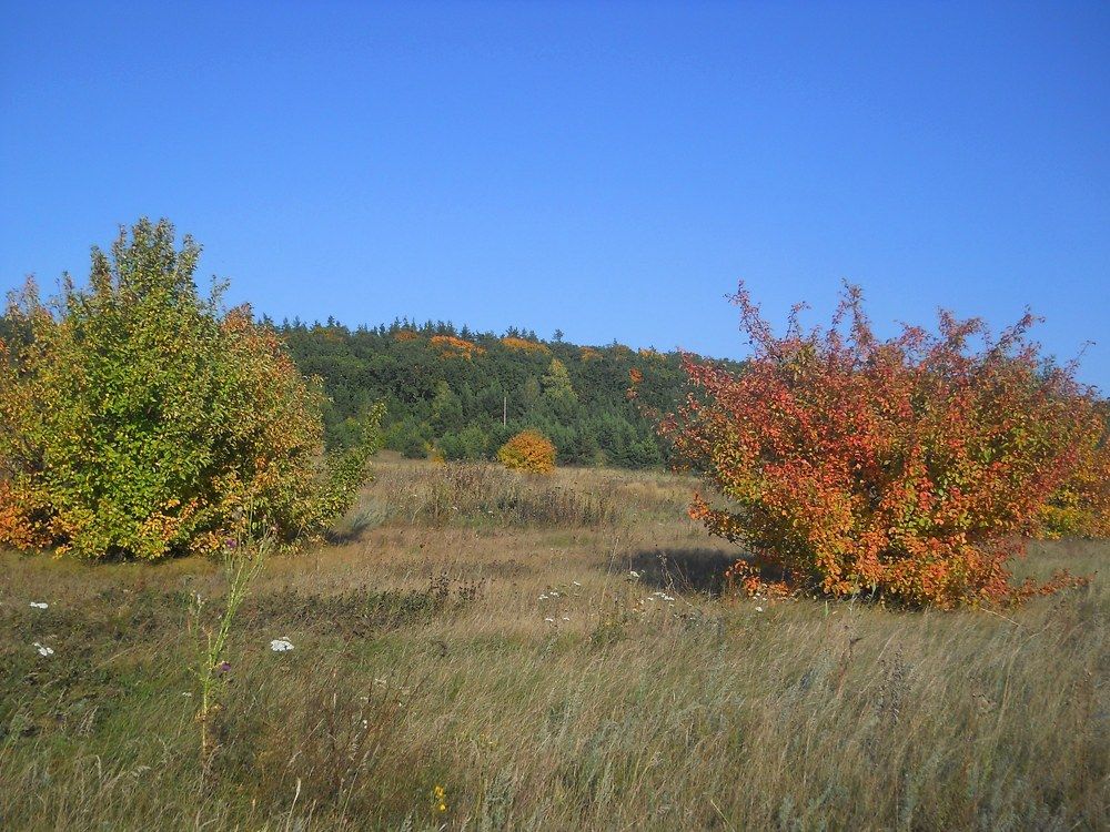 Photograph by Татьяна Иваненкова