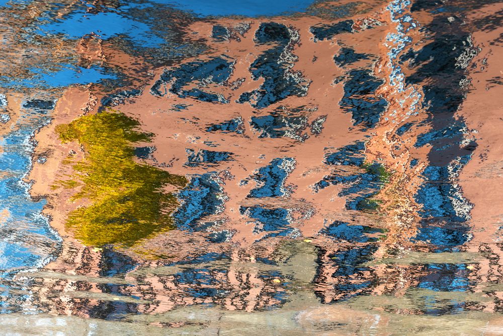 Крик. Пандемия. Петербург