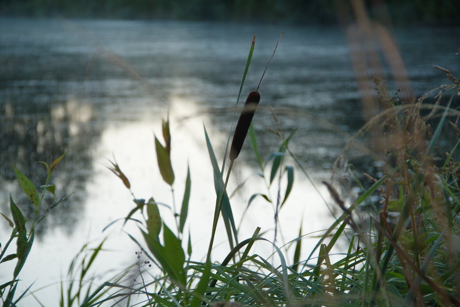 Photo #5719093