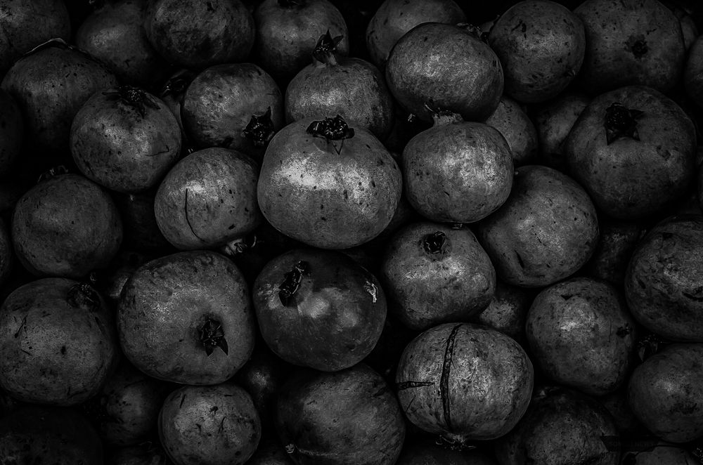 Photograph by Eivind Khagen