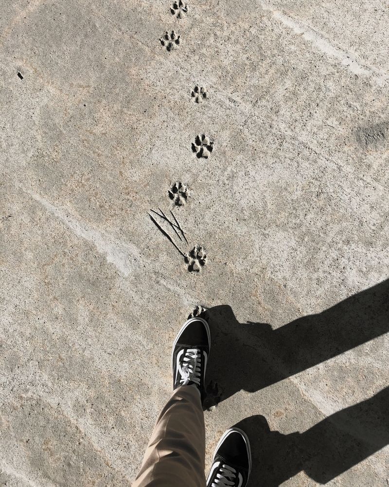 Photograph by Алина Коханова