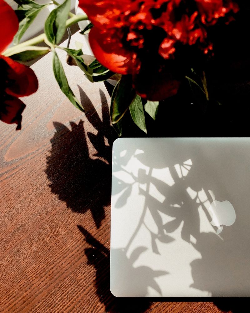 Photograph by Алина Коханова