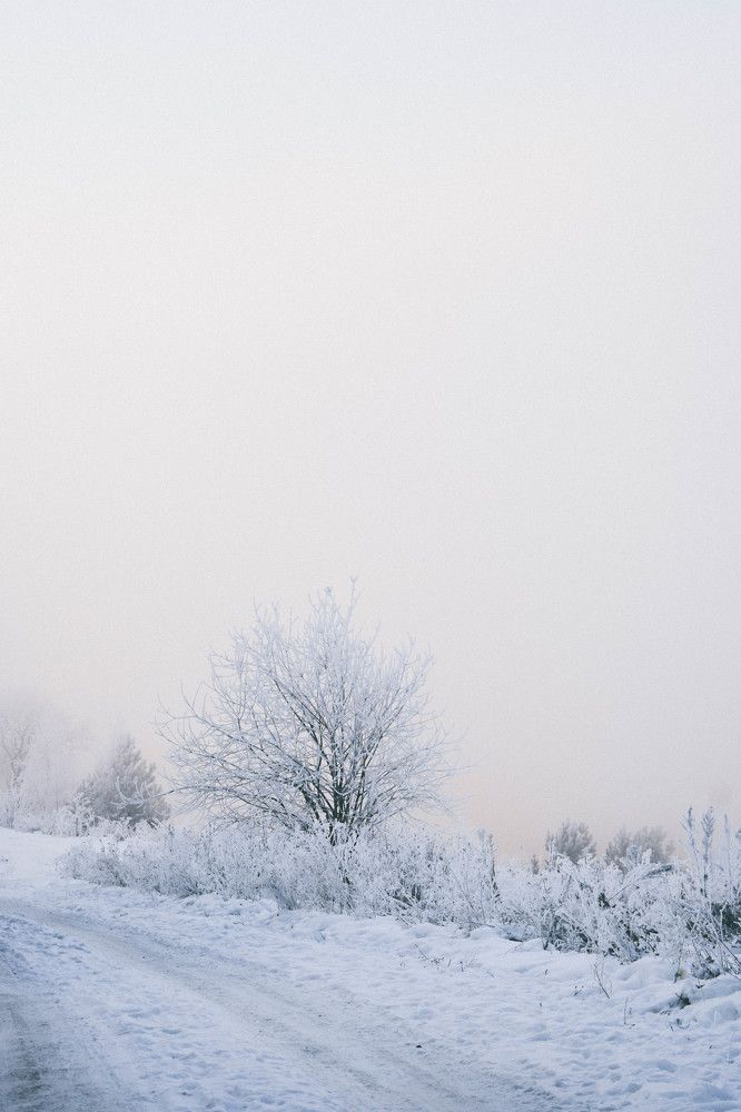 Photograph by Артём Куликов