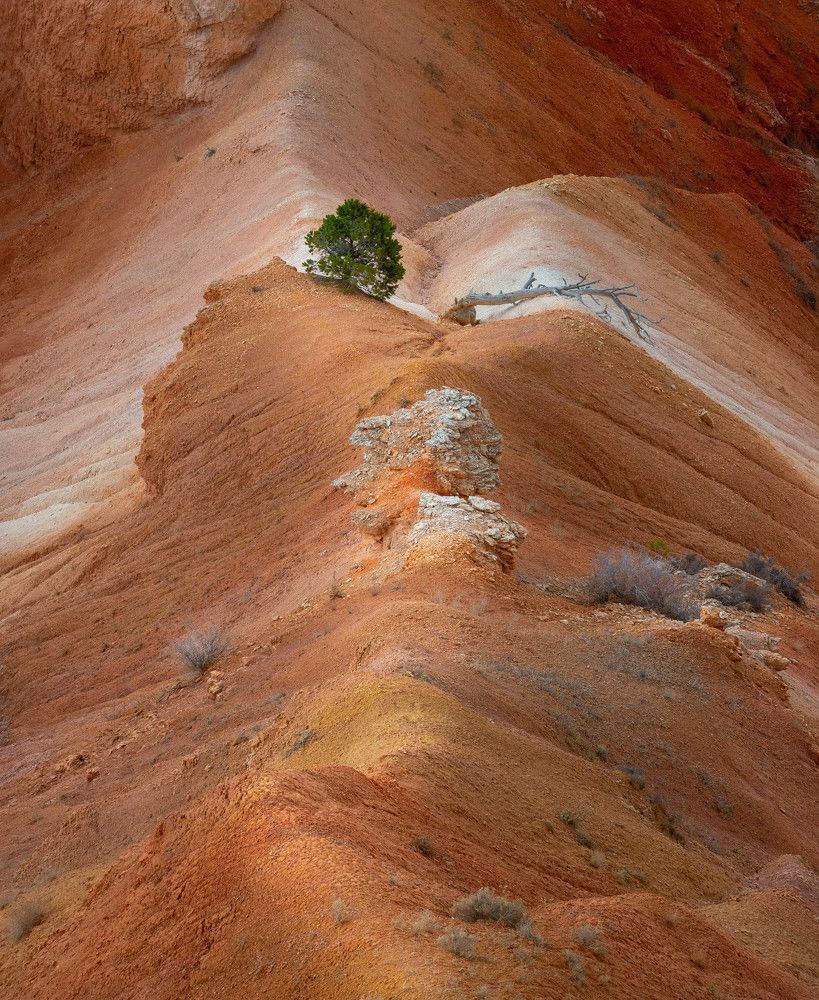 Photograph by Stevie