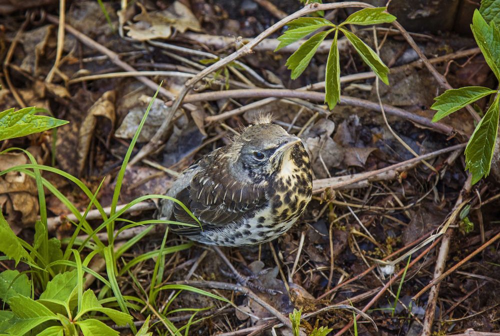 Photograph by Мария Мурзина