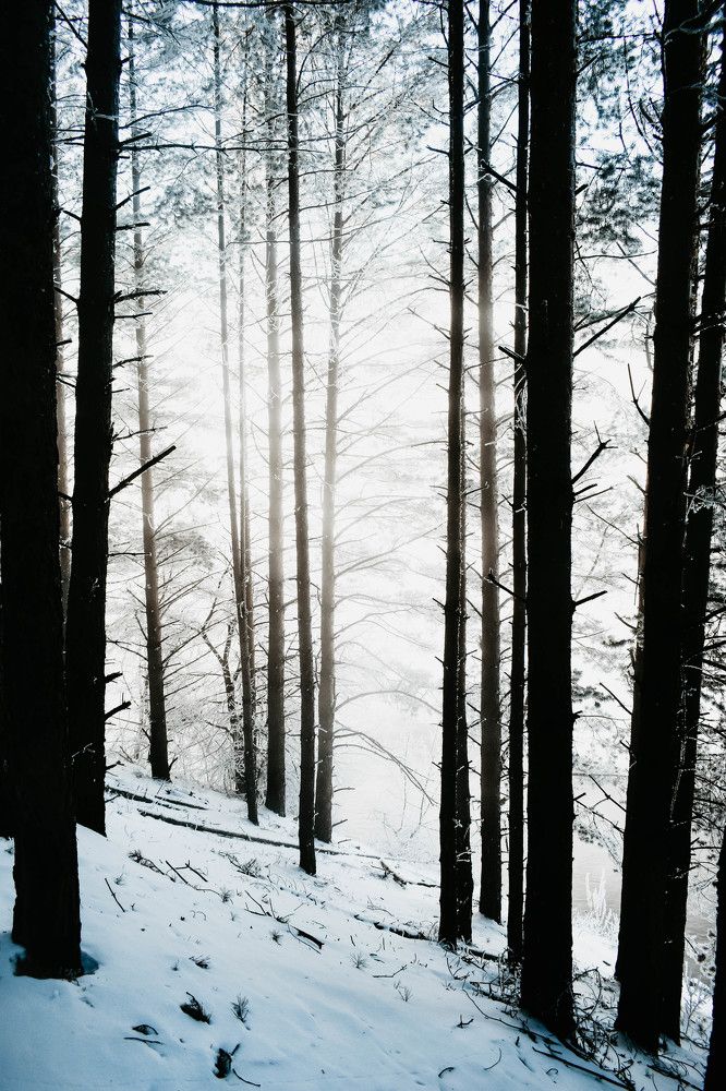 Photograph by Артём Куликов