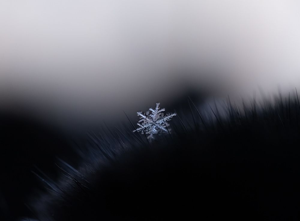 Photograph by Юлия Ильина