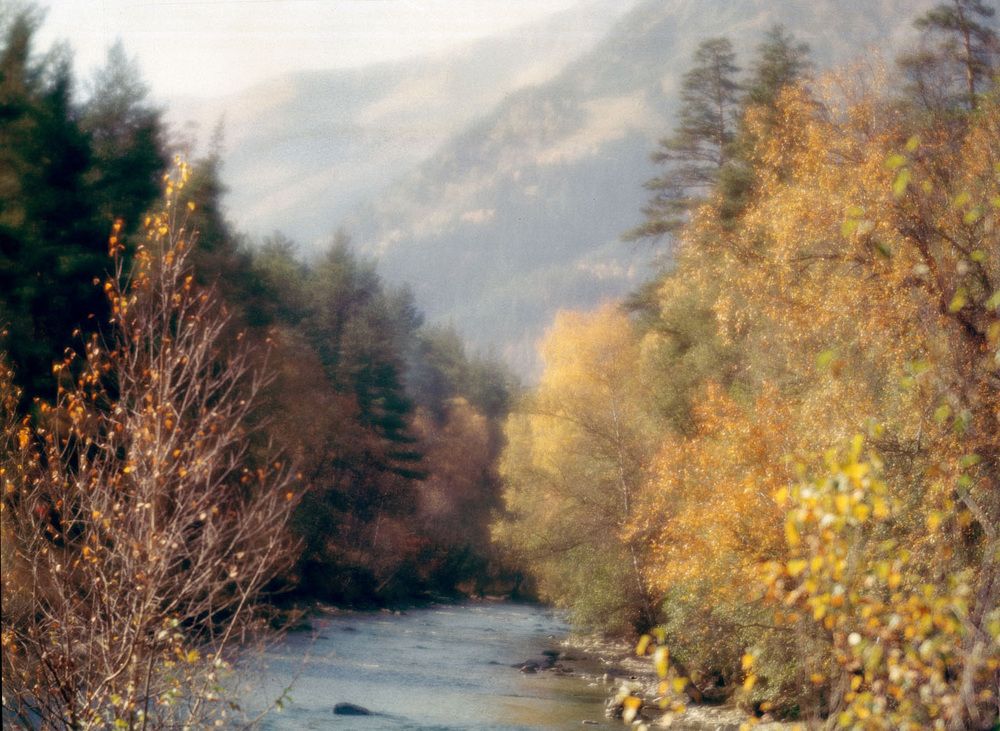 Photograph by Алексей Заморкин