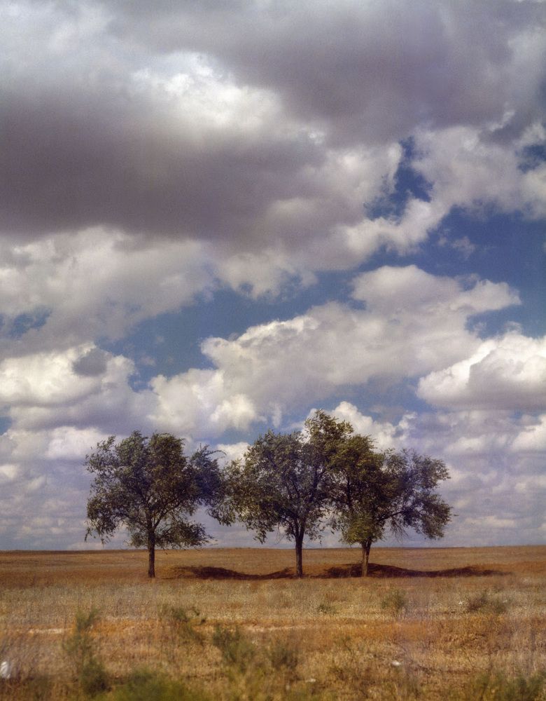 Photograph by Алексей Заморкин