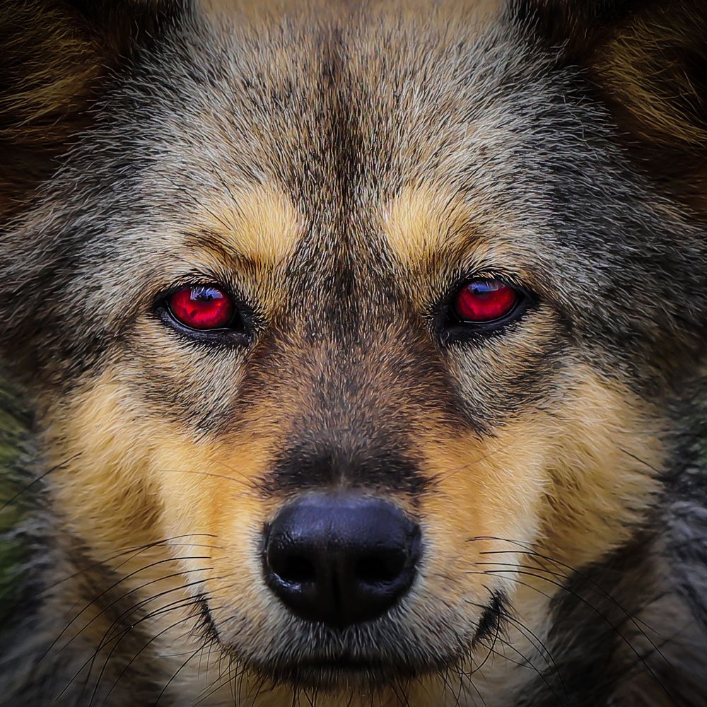 Photograph by Ngọc Trần