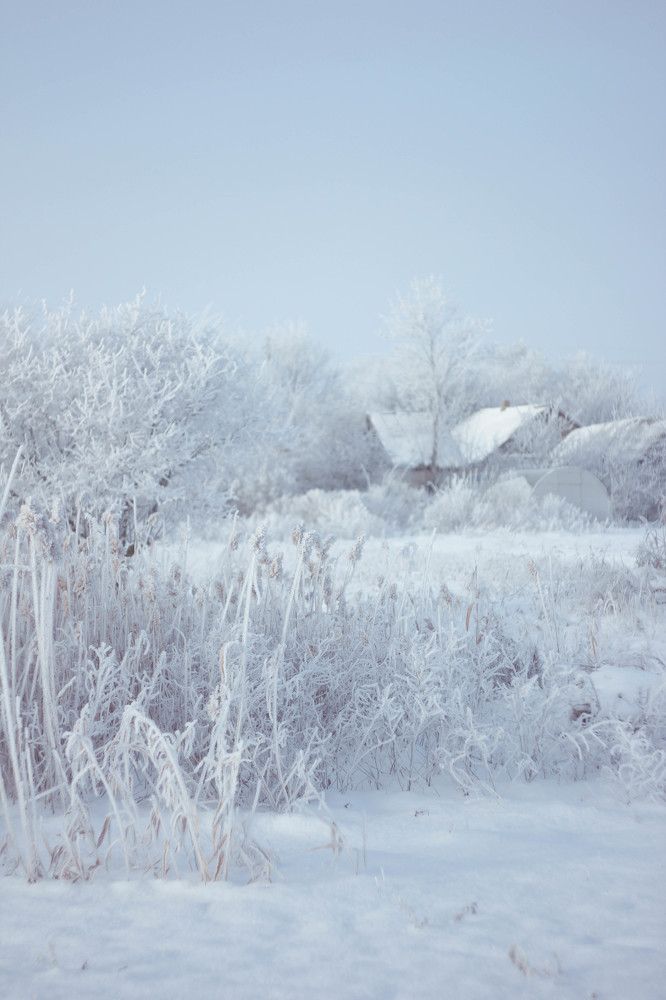 Photograph by Ольга Григоренко
