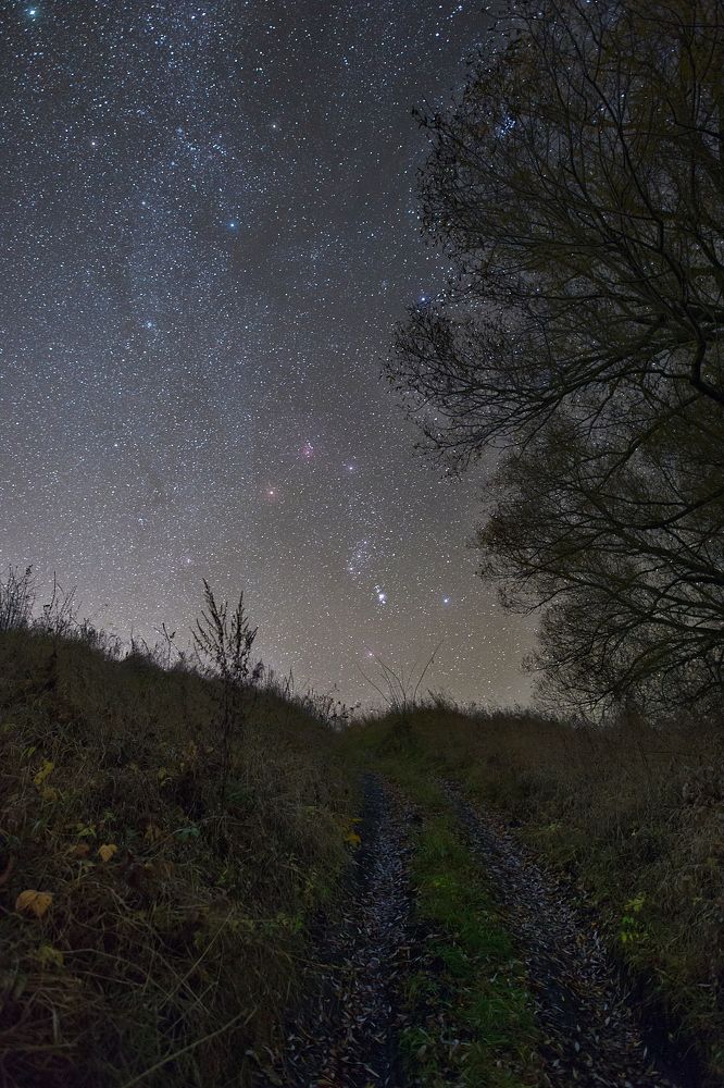 Дорога в зиму