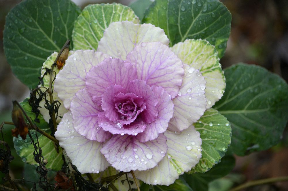 Photograph by Юрий Хайров