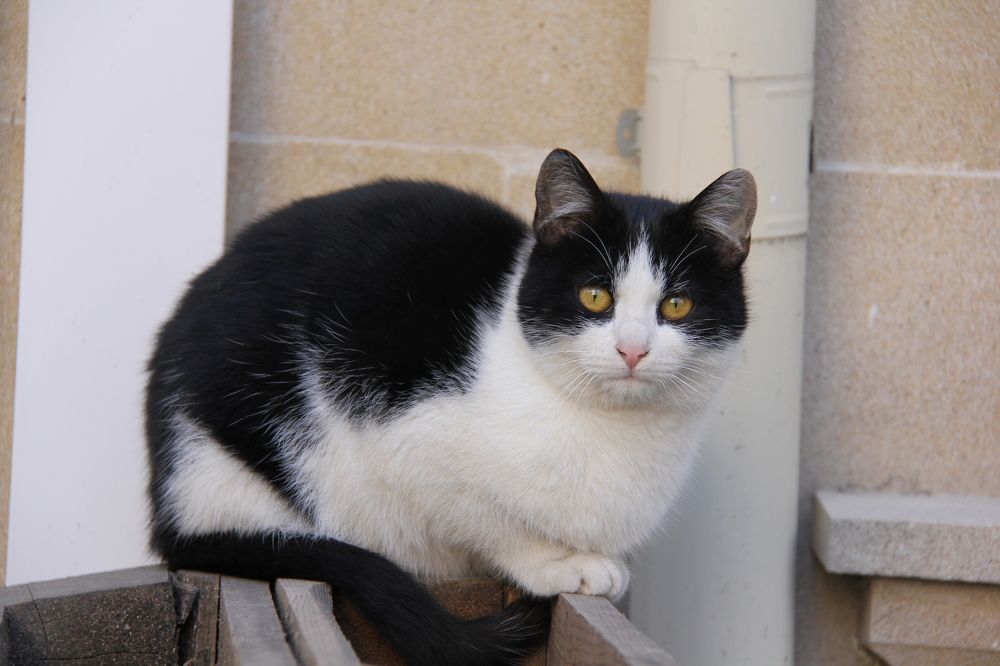 Photograph by Ulviyya Kamalzade