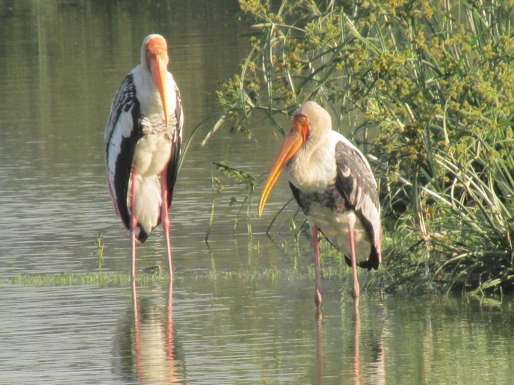 Photograph by Sougata Bhar