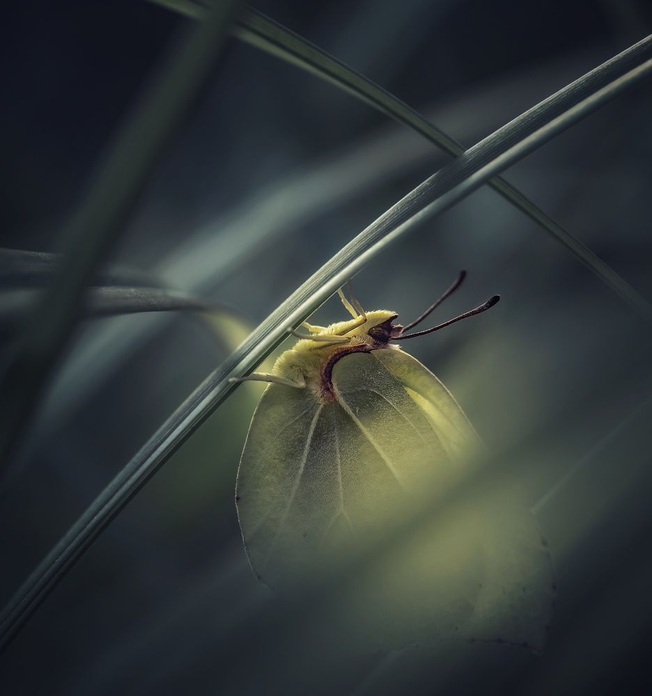 Photograph by Юлия Ильина