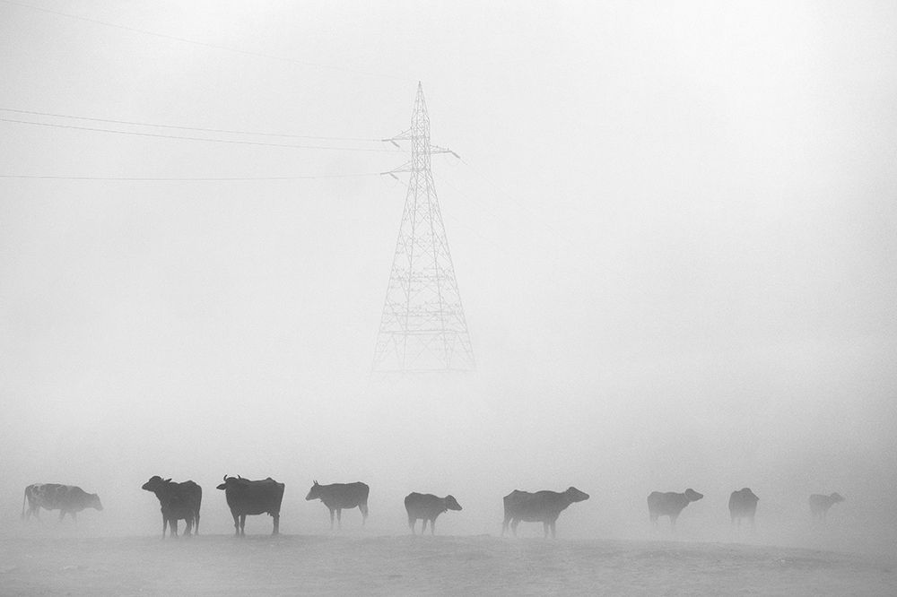 Photograph by Vipin Singh