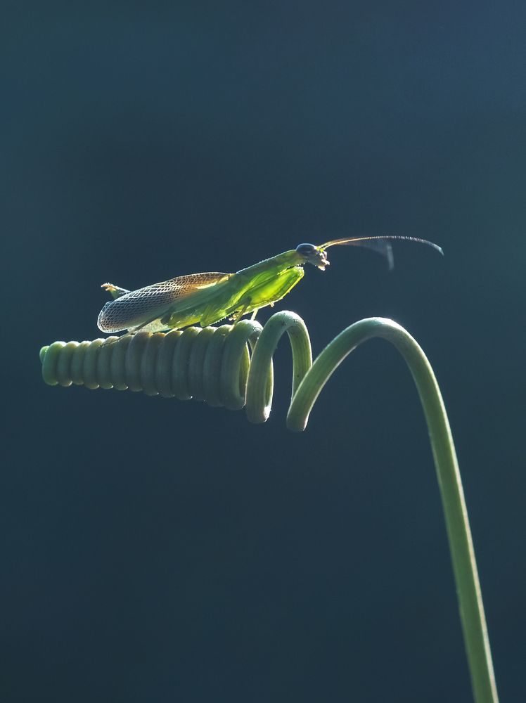 Photograph by Chuah Christopher