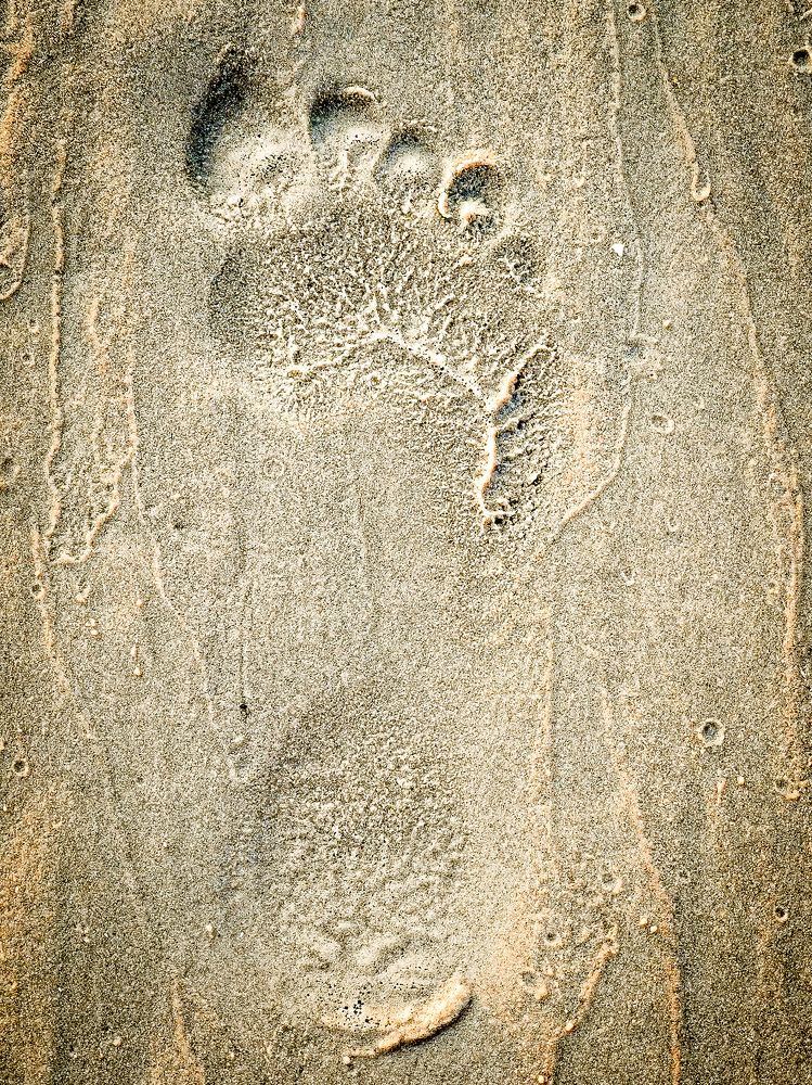 Фотография автора Дмитрий Лебедь