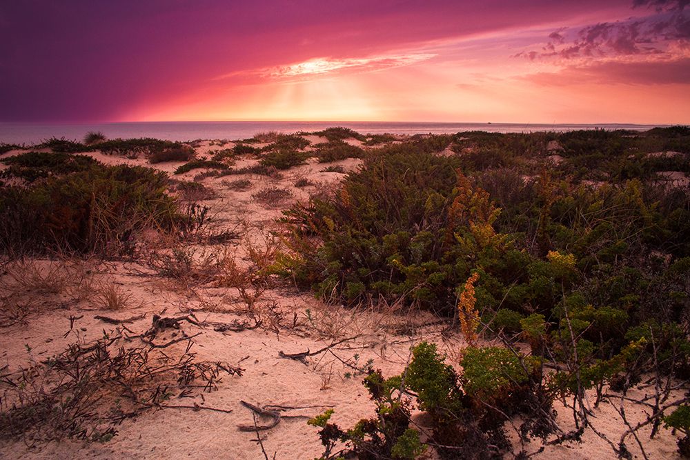 Photograph by Daniel Filipe Santos