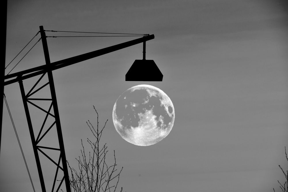 Photograph by Виктория