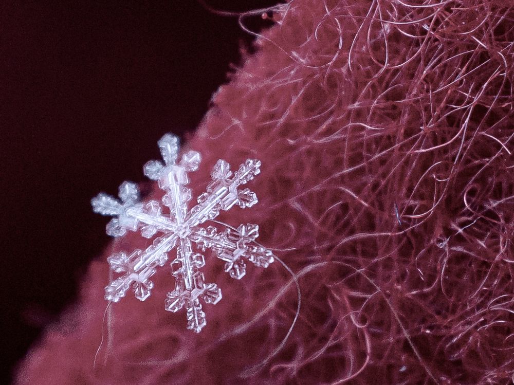 Photograph by Мария Паина