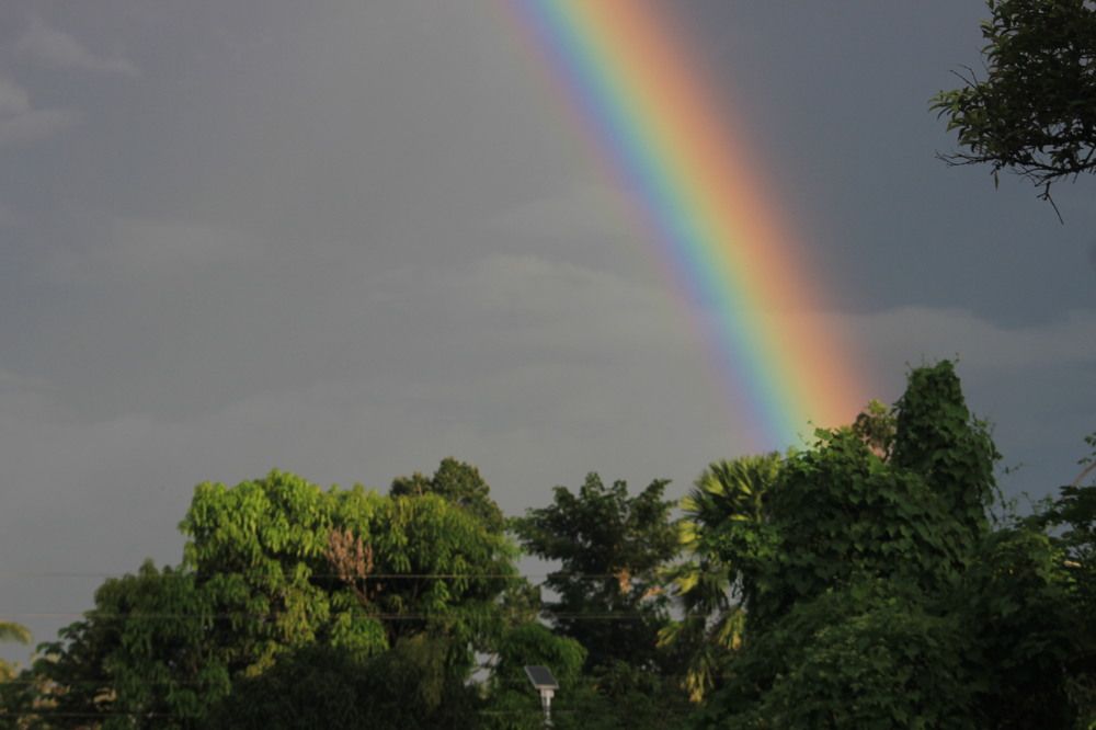 Rainbow Hour