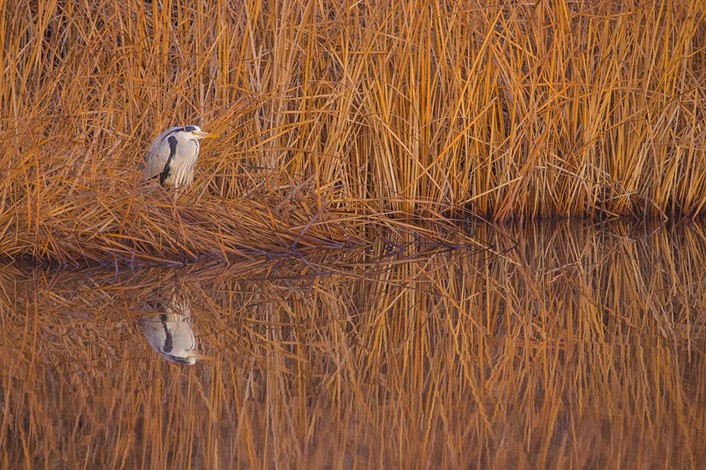 Photograph by Daniel Filipe Santos
