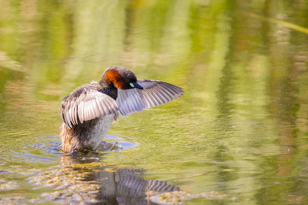 Photograph by Daniel Filipe Santos