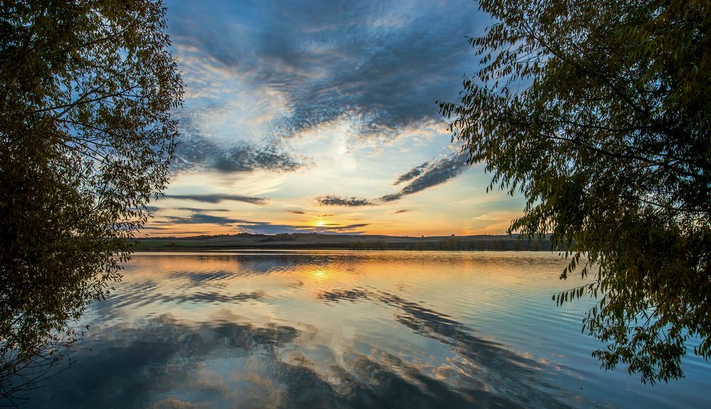 Утро у пруда