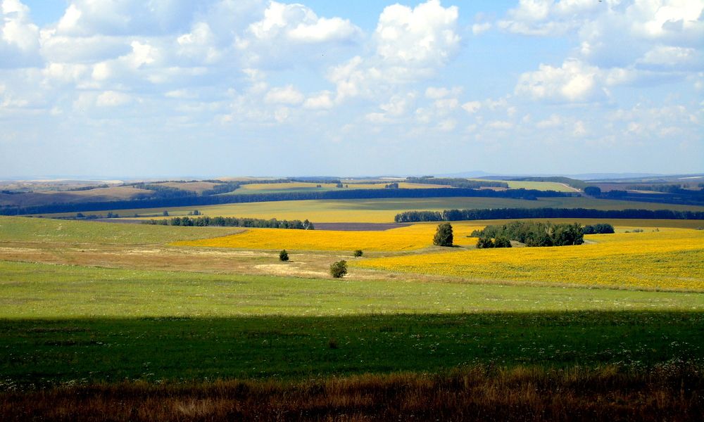 Photograph by Жанна Валиева