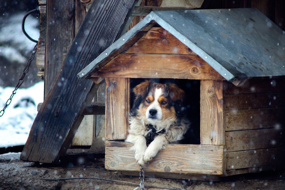 Photograph by Людмила Сиденко