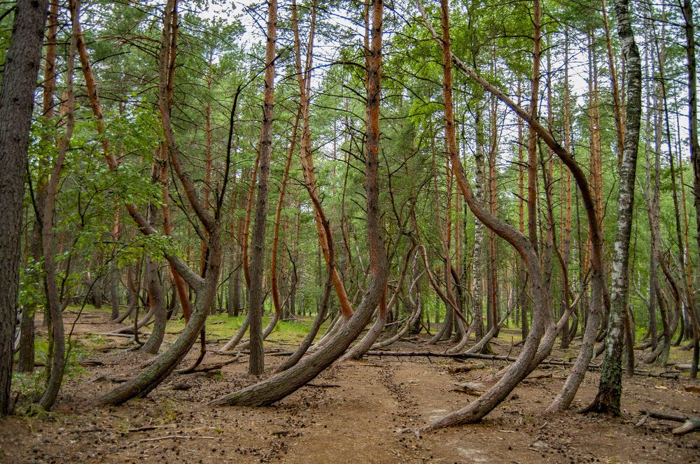 Photograph by андрей захаров