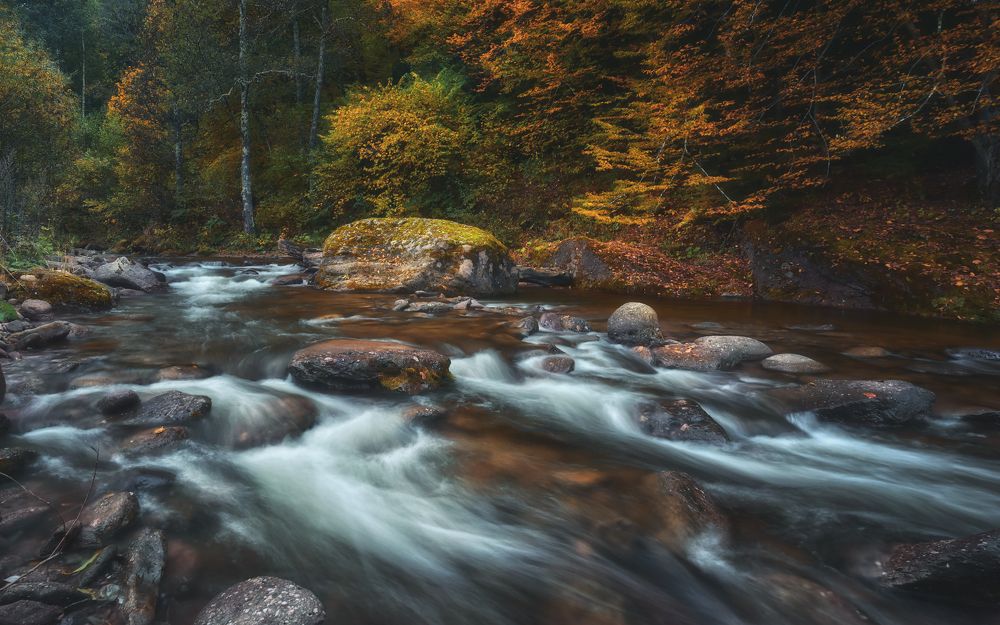 Шантацара...