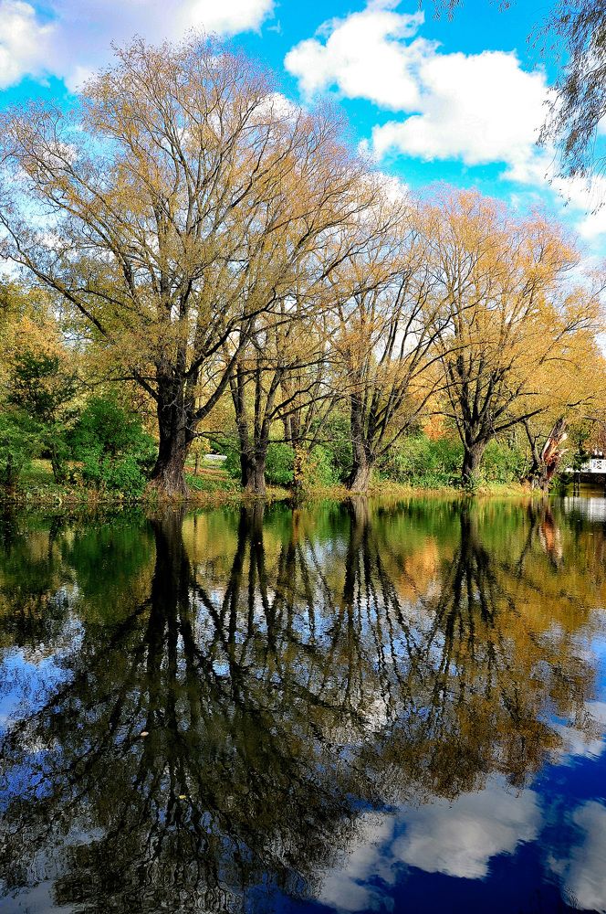 прозрачность