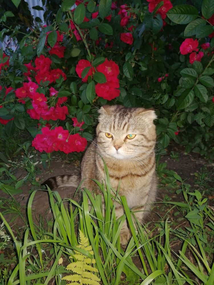Photograph by Виктория