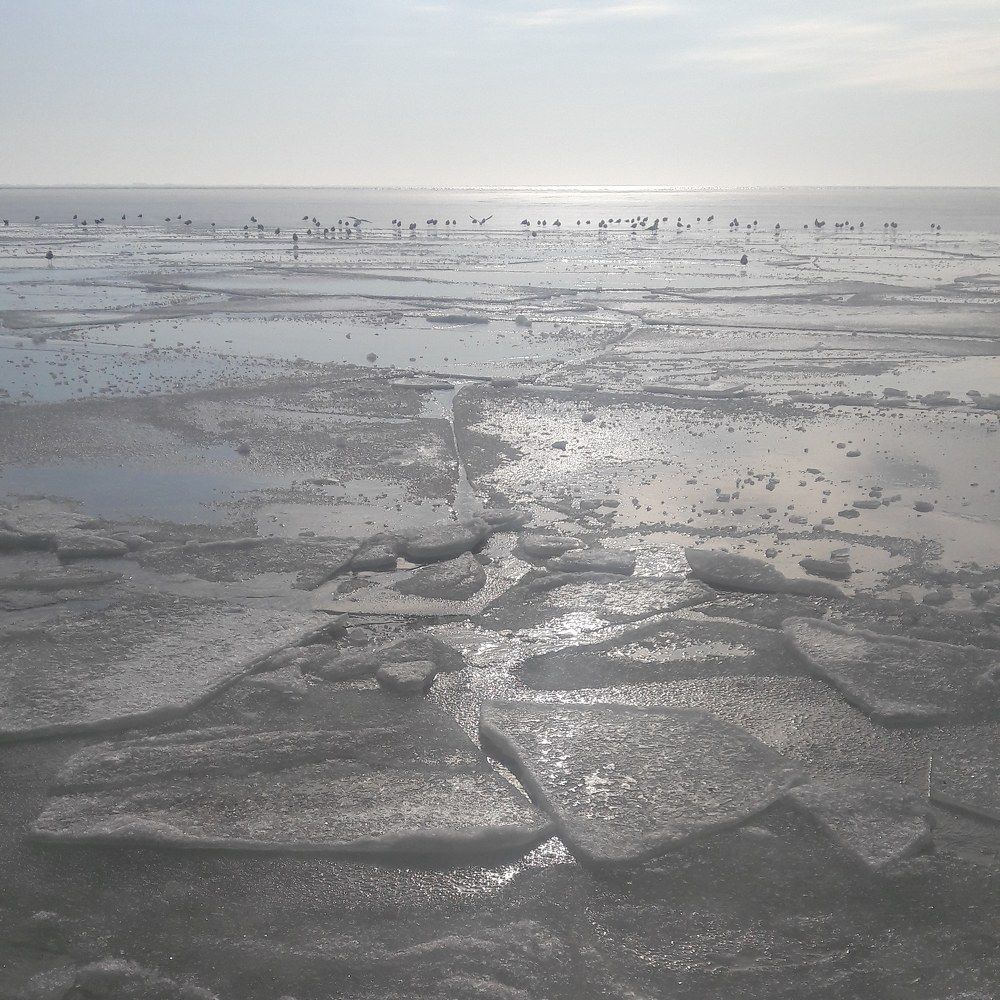 Зимнее море