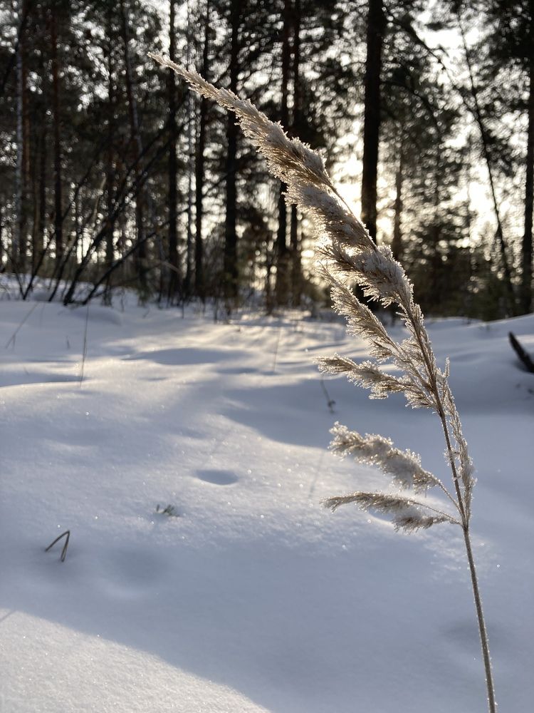 Photograph by Любовь Тернова